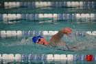 Women's Swimming & Diving  Wheaton College Women’s Swimming & Diving vs Mount Holyoke College. - Photo by Keith Nordstrom : Wheaton, Swimming & Diving